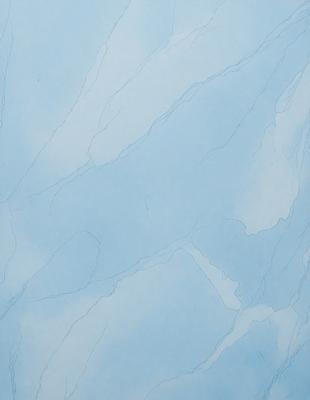The primary subject of the image is a blue and white marble wall. The setting is a room with a blue and white marble wall, which serves as the background. The visual style is a photo, capturing the intricate patterns and textures of the marble wall. The colors and mood of the image are predominantly blue and white, creating a calm and elegant atmosphere.