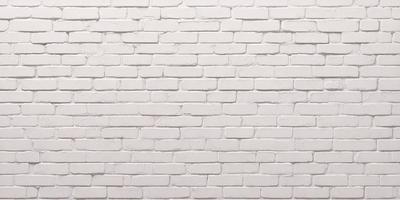 The primary subject of the image is a white brick wall. The setting is a plain white wall, with no visible background or environment. The visual style is a photo, showcasing the brick wall in detail. The colors and mood of the image are predominantly white, giving it a clean and minimalist appearance.