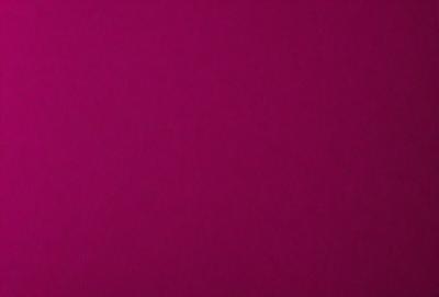 The primary subject of the image is a large, pink surface. The setting is a wall, and the visual style is a close-up of the pink wall. The dominant colors are pink, and the overall atmosphere is bright and vibrant.