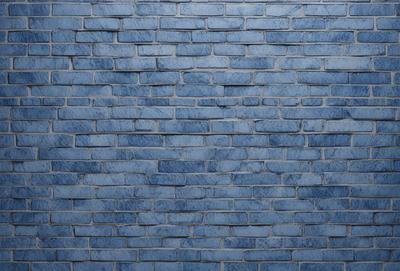 The primary subject of the image is a blue brick wall. The setting is a brick wall, and the visual style is a photo. The dominant colors are blue and white, creating a calm and serene atmosphere.