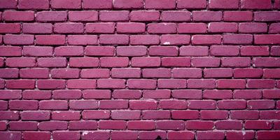 The primary subject of the image is a brick wall, which is the main object, scene, or focus of the image. The setting/background features a pink brick wall, which is the environment, backdrop, or surface visible in the image. The visual style of the image is a photo, as it is a real-life brick wall. The colors and mood of the image are predominantly pink, giving it a warm and inviting atmosphere.