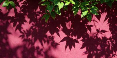 The primary subject of the image is a leafy tree with green leaves, casting a shadow on a red wall. The setting is an outdoor environment, with the tree and the wall being the main objects in the scene. The visual style appears to be a photo, capturing the natural light and shadows created by the tree. The colors in the image are predominantly green and red, creating a vibrant and lively atmosphere.