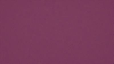 The primary subject of the image is a purple wall. The setting is a room with a purple wall, and the visual style is a close-up of the wall. The colors and mood of the image are predominantly purple, creating a calm and serene atmosphere.