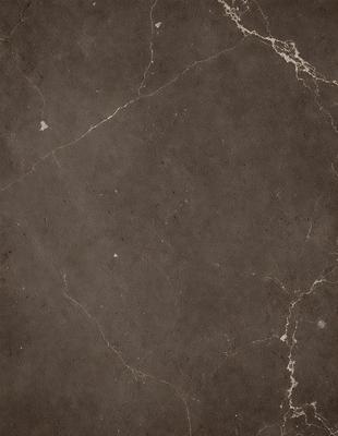 The image features a large, grey stone wall with a rough texture. The wall appears to be made of marble, giving it a unique and natural appearance. The stone wall is the primary subject of the image, and it is set against a backdrop of a grey stone floor. The visual style of the image is a close-up of the stone wall, showcasing its texture and details. The colors and mood of the image are predominantly grey, giving it a calm and serene atmosphere.