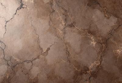 The primary subject of the image is a close-up of a marble wall with a brown and tan color scheme. The setting is a room with a brown and tan marble wall, which serves as the background. The visual style is a close-up of the marble wall, showcasing its texture and pattern. The colors and mood of the image are warm and earthy, with the brown and tan marble creating a natural and elegant atmosphere.