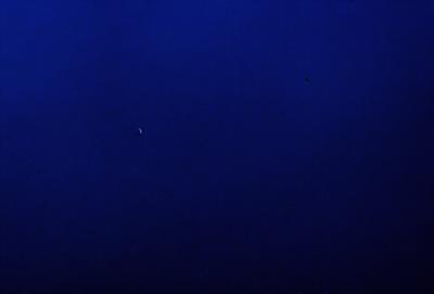 The primary subject of the image is the night sky, which is filled with stars. The setting is a dark, star-filled night, with no visible landmarks or objects. The visual style is a photo of the night sky, capturing the beauty of the stars and the vastness of the universe. The colors and mood of the image are predominantly dark, with the stars providing a bright and luminous contrast.