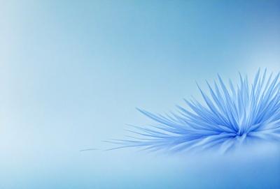 The primary subject of the image is a blue feather, which is the main object, scene, or focus of the image. The setting or background is a blue sky, and the visual style appears to be a photo. The dominant colors in the image are blue and white, creating a calm and serene atmosphere.