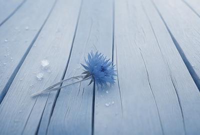 The primary subject of the image is a single blue flower, which is placed on a wooden surface. The setting is a wooden floor, and the visual style is a photo. The dominant colors in the image are blue and white, creating a calm and serene atmosphere.