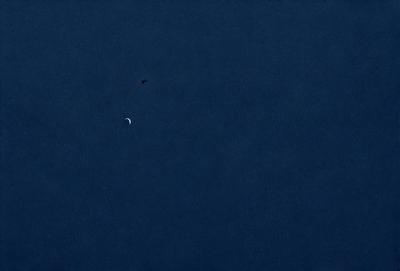 The primary subject of the image is a bird flying in the sky. The bird is positioned in the middle of the scene, with a crescent moon visible in the background. The sky is a deep blue, creating a serene and peaceful atmosphere. The visual style of the image is a photo, capturing the bird in its natural environment.