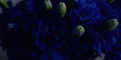 The primary subject of the image is a bouquet of flowers, predominantly blue in color. The flowers are arranged in a vase, creating a visually appealing display. The setting is a dark room, which adds a dramatic and moody atmosphere to the scene. The visual style of the image is a close-up of the flowers, emphasizing their beauty and details.