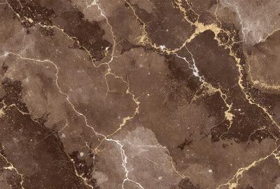 The image features a marble surface with a brown and gold color scheme. The marble has a patterned texture, giving it a unique and elegant appearance. The setting appears to be a room with a brown and gold color theme, which complements the marble surface. The visual style of the image is a close-up of the marble, showcasing its intricate patterns and textures. The colors and mood of the image are warm and sophisticated, creating a luxurious and inviting atmosphere.