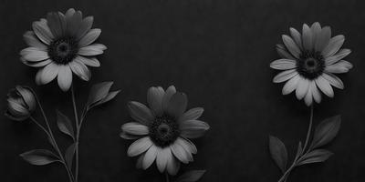 The primary subject of the image is a close-up of a flower, which is the main focus of the image. The setting is a black background, which creates a dramatic and artistic effect. The visual style is a photo, capturing the details and textures of the flower. The dominant colors are black and white, giving the image a classic and timeless feel.