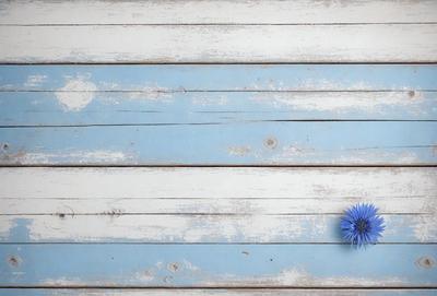 The primary subject of the image is a blue flower, which is placed on a wooden surface. The setting is a white and blue wall, which adds a contrasting background to the scene. The visual style of the image is a photo, capturing the beauty of the flower in its natural environment. The colors and mood of the image are predominantly blue, creating a calm and serene atmosphere.