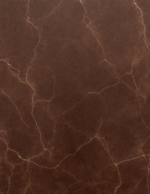 The primary subject of the image is a close-up of a brown leather surface, possibly a leather wall or a leather-like material. The setting is a room with a brown leather wall, and the visual style is a close-up of the leather surface. The colors and mood of the image are predominantly brown, giving it a warm and natural atmosphere.