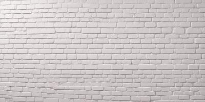 The primary subject of the image is a white brick wall. The setting is a plain white wall, with no visible background or environment. The visual style is a photo, showcasing the brick wall in detail. The colors and mood of the image are predominantly white, giving it a clean and minimalist appearance.