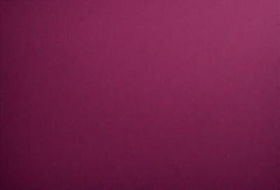 The primary subject of the image is a large, pink wall. The setting is a room with a pink background, and the visual style is a close-up of the wall. The dominant colors in the image are pink, and the overall atmosphere is warm and inviting.