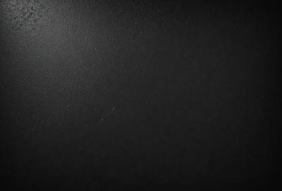 The image is a black and white photo of a wall. The wall appears to be made of a material that has a textured surface. The photo captures the wall's texture and the black and white color scheme creates a sense of depth and contrast.