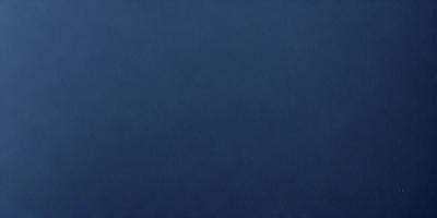 The primary subject of the image is a blue background. The setting is a dark blue sky, and the visual style is a photo. The colors and mood of the image are predominantly dark and moody, with the blue background creating a sense of depth and calmness.