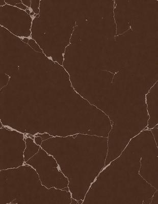 The primary subject of the image is a brown marble wall with a pattern of holes and cracks. The setting is a room with a brown marble floor. The visual style is a close-up of the marble wall, showcasing its unique texture and pattern. The colors and mood of the image are warm and earthy, with the brown marble creating a natural and timeless atmosphere.