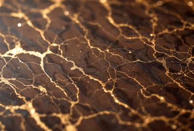 The primary subject of the image is a wooden table with a unique and intricate pattern on its surface. The pattern appears to be made of gold and resembles a tree or a branch. The setting is indoors, with the table being the main focus of the scene. The visual style of the image is a close-up of the wooden table, showcasing the intricate pattern. The colors and mood of the image are warm and inviting, with the gold pattern adding a touch of elegance and sophistication