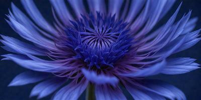 The primary subject of the image is a purple flower with a blue center, surrounded by a blue background. The visual style appears to be a close-up of the flower, possibly a photo or a digital art piece. The colors and mood of the image are predominantly purple and blue, creating a serene and calming atmosphere.