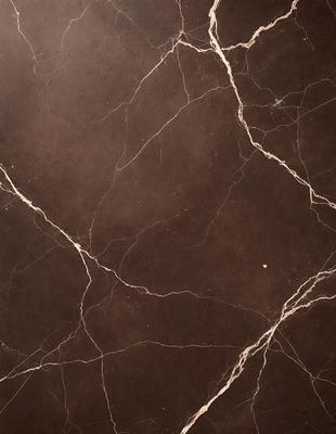 The image features a brown marble wall with a pattern of white veins. The wall appears to be made of stone, giving it a natural and textured appearance. The primary subject of the image is the marble wall, which serves as the focal point of the scene. The setting is indoors, likely in a room with a stone or marble theme. The visual style of the image is a close-up of the marble wall, highlighting its unique texture and pattern. The colors and mood of the image are