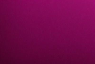 The primary subject of the image is a large, purple wall. The setting is a room with a purple background, which creates a unique and striking visual effect. The visual style of the image is a close-up of the purple wall, emphasizing its vibrant color. The colors and mood of the image are predominantly purple, giving it a calm and soothing atmosphere.