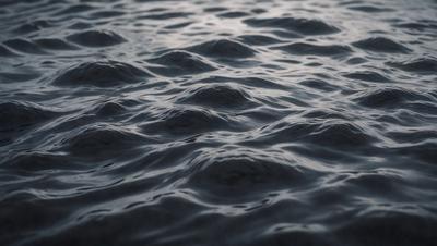 The primary subject of the image is a body of water, which appears to be a large lake or ocean. The water is dark and has a few ripples, creating a somewhat mysterious atmosphere. The setting is outdoors, with the water being the main focus of the scene. The visual style of the image is a close-up of the water, emphasizing its depth and texture. The colors in the image are predominantly dark, with some variations in shades of blue and black, contributing to the overall mood