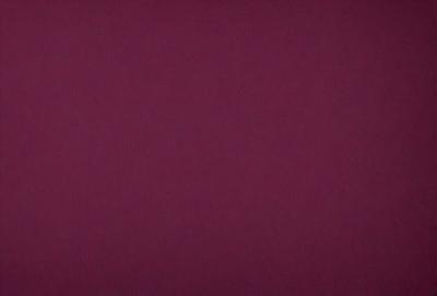 The primary subject of the image is a large, purple wall. The setting is a room with a red background, which creates a striking contrast with the purple wall. The visual style is a close-up of the wall, showcasing its vibrant color. The dominant colors are purple and red, creating a bold and striking atmosphere.