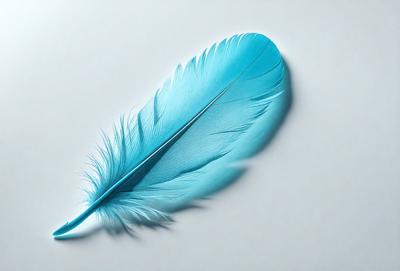 The primary subject of the image is a blue feather, which is the main object, scene, or focus of the image. The setting is a white background, which provides a clean and uncluttered environment for the feather. The visual style of the image is a photo, capturing the details and colors of the feather. The dominant colors in the image are blue and white, creating a calm and serene atmosphere.