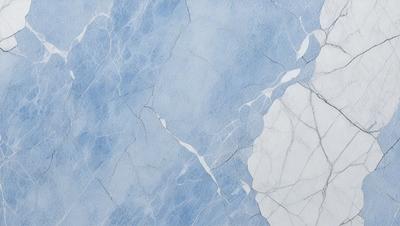 The primary subject of the image is a blue and white marble wall. The setting is a room with a blue and white marble wall, which serves as the background. The visual style is a photo, capturing the intricate details of the marble wall. The colors and mood of the image are predominantly blue and white, creating a serene and elegant atmosphere.