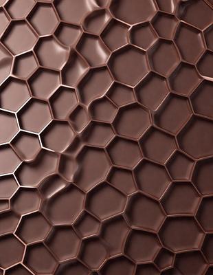 The primary subject of the image is a close-up of a brown, textured surface, possibly a wall or a piece of art. The setting appears to be indoors, with the surface being the main focus of the image. The visual style is a close-up, which emphasizes the intricate details of the surface. The colors and mood of the image are warm and earthy, with the brown tones creating a sense of depth and texture.
