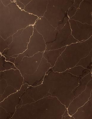 The primary subject of the image is a marble wall with a brown and black color scheme. The setting is a room with a dark background, and the visual style is a close-up of the marble wall. The colors and mood of the image are dark and moody, creating a dramatic and sophisticated atmosphere.