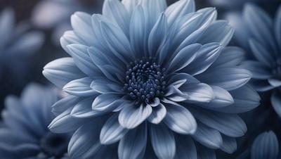The primary subject of the image is a large, blue flower with a black center. The flower is the main focus of the image, and it is set against a background of a dark blue sky. The visual style of the image is a close-up of the flower, which gives it a detailed and intimate appearance. The dominant colors in the image are blue and black, creating a calm and serene atmosphere.