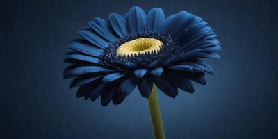 The primary subject of the image is a blue flower with a yellow center, sitting on a blue background. The visual style appears to be a photo, and the dominant colors are blue and yellow. The overall atmosphere of the image is calm and serene.