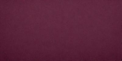 The primary subject of the image is a red fabric, which appears to be a piece of cloth or a wall covering. The setting is a room with a red background, which creates a bold and striking visual effect. The visual style of the image is a close-up of the red fabric, emphasizing its texture and color. The dominant colors in the image are red and possibly some shades of burgundy, giving the scene a warm and vibrant atmosphere.