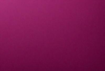 The primary subject of the image is a purple wall. The setting is a room with a purple wall, and the visual style is a close-up of the wall. The colors and mood of the image are predominantly purple, creating a calm and serene atmosphere.