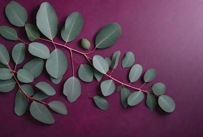 The primary subject of the image is a branch with green leaves. The setting is a purple background, which adds a contrasting color to the scene. The visual style appears to be a photo, capturing the natural beauty of the leaves and branch. The colors and mood of the image are predominantly green, with a touch of purple, creating a serene and calming atmosphere.