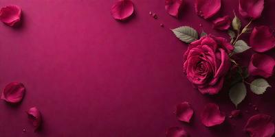 The primary subject of the image is a single pink rose. The rose is placed on a purple background, which creates a striking contrast between the rose and its surroundings. The visual style of the image is a close-up of the rose, emphasizing its beauty and details. The colors and mood of the image are predominantly pink and purple, giving it a romantic and elegant atmosphere.