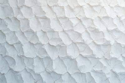 The primary subject of the image is a white wall with a pattern of peeling paint. The setting is a room with a white background. The visual style is a close-up of the peeling paint, which gives the image a textured and artistic appearance. The dominant colors are white and grey, creating a mood of wear and tear.