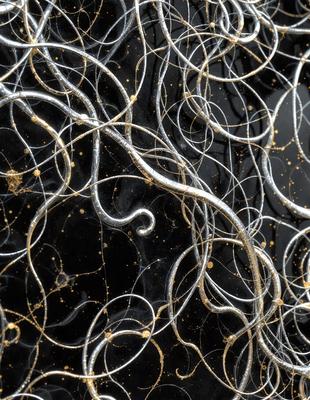 The primary subject of the image is a close-up of a black background with a pattern of gold and silver swirls. The setting appears to be a dark room, and the visual style is a combination of digital art and illustration. The dominant colors are black, gold, and silver, creating a mood of mystery and intrigue.