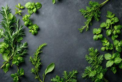 The primary subject of the image is a close-up of various herbs, including mint and parsley, arranged on a black surface. The herbs are green and appear fresh, with some leaves extending outwards. The setting is a black background, which provides a clean and minimalist look to the image. The visual style is a close-up of the herbs, showcasing their details and textures. The colors are predominantly green, which gives the image a fresh and natural atmosphere.