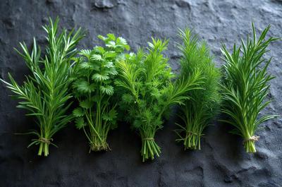 The image features a close-up of five different types of herbs, each with varying heights and shapes. The herbs are arranged in a row, with some overlapping each other. The scene is set on a black surface, which contrasts with the vibrant colors of the herbs. The visual style of the image is a close-up, showcasing the details of the herbs. The colors and mood of the image are lively and fresh, as the herbs are the primary focus and the back
