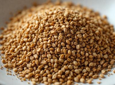 The primary subject of the image is a pile of brown seeds, likely wheat or barley, sitting on a white surface. The seeds are scattered and appear to be in various stages of growth. The setting is a simple, clean environment, with no distractions or background elements. The visual style of the image is a close-up of the seeds, emphasizing their texture and details. The colors in the image are predominantly brown, with some white from the surface, creating a natural and earthy atmosphere.