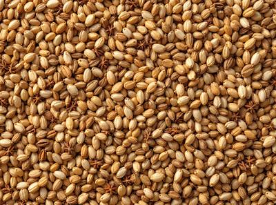 The primary subject of the image is a close-up of a field of grain, which appears to be a mix of wheat and barley. The setting is a field of grain, and the visual style is a close-up of the grain. The colors and mood of the image are predominantly earthy tones, giving it a natural and organic feel.