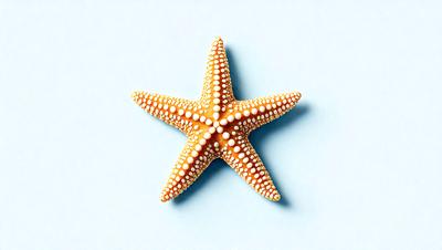 The primary subject of the image is a close-up of a starfish, which is the main object, scene, or focus of the image. The setting is a blue surface, which serves as the backdrop for the starfish. The visual style of the image is a photo, capturing the details of the starfish. The colors and mood of the image are predominantly blue, creating a calm and serene atmosphere.