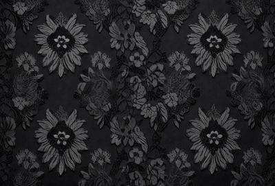 The primary subject of the image is a black and white lace pattern. The setting is a black background, and the visual style appears to be a pattern or a digital artwork. The colors and mood of the image are predominantly black and white, giving it a classic and elegant appearance.