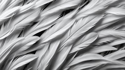 The primary subject of the image is a close-up of a white feather. The setting is a black background, which contrasts with the white feather. The visual style is a black and white photo, giving the image a classic and timeless appearance. The dominant colors are white and black, creating a clean and elegant mood.