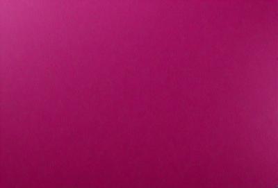 The primary subject of the image is a large, pink wall. The setting is a room with a pink background, and the visual style is a close-up of the wall. The dominant colors are pink, and the overall atmosphere is warm and inviting.
