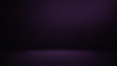 Purple wall, purple background, purple setting, purple visual style, purple colors and mood.